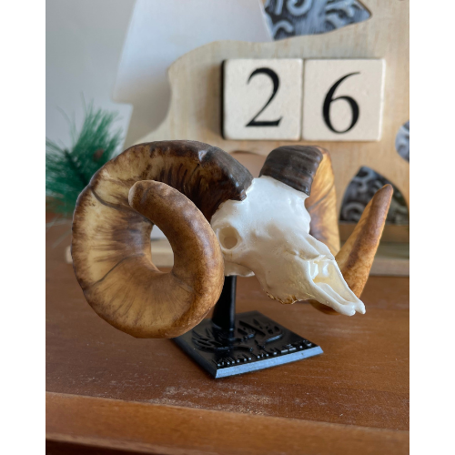 Display Stand (Retail)