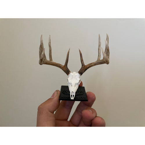 Display Stand (Retail)