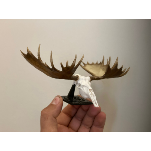 Display Stand (Retail)