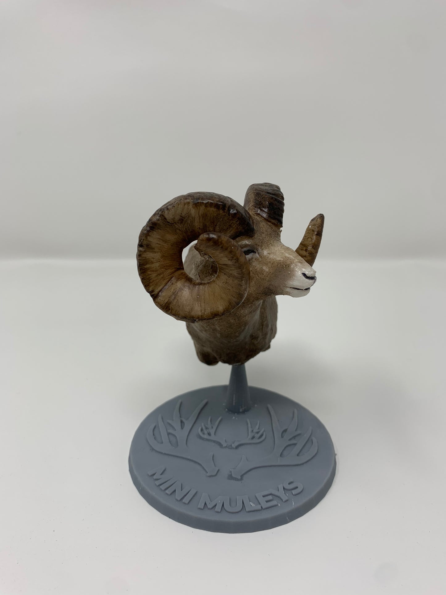 Rocky Mountain Ram Shoulder Mount