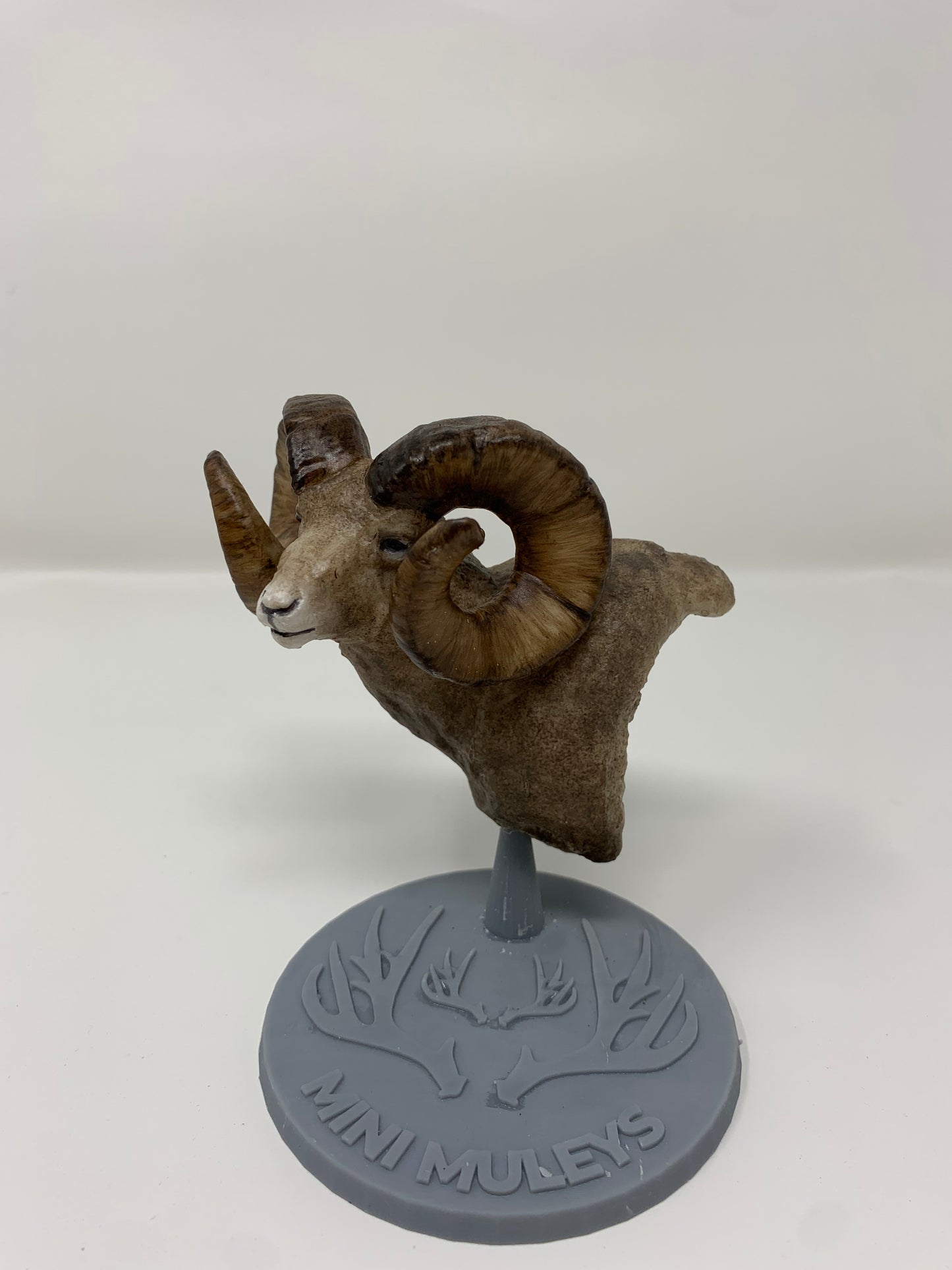 Rocky Mountain Ram Shoulder Mount