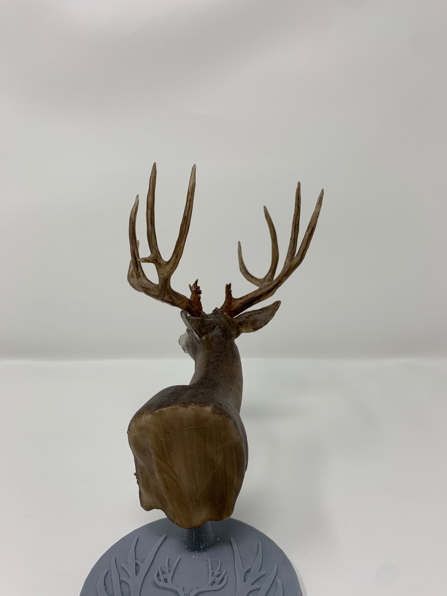 Mule Deer Typical Shoulder Mount