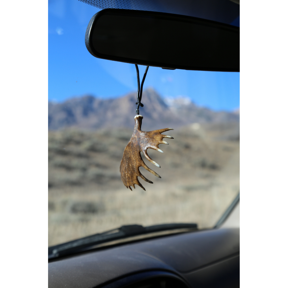 Moose Shed (Retail)