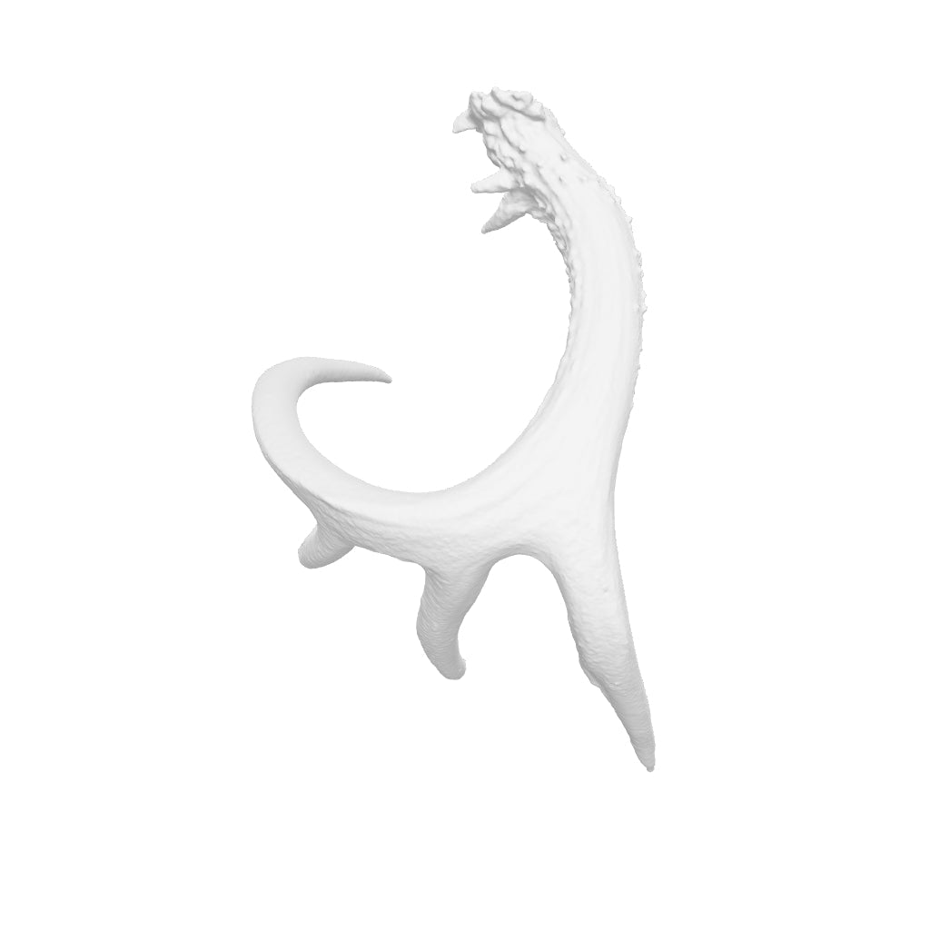 White Tail Typical Shed