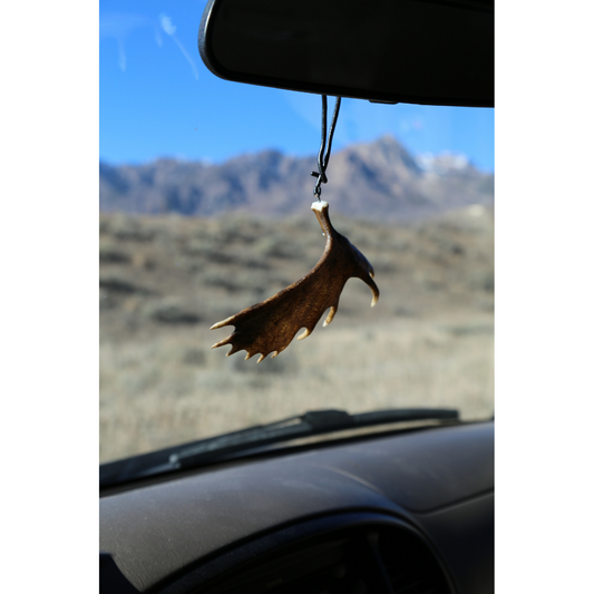 Moose Shed (Retail)