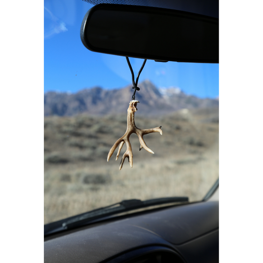 Mule Deer Non-Typical Shed (Retail)