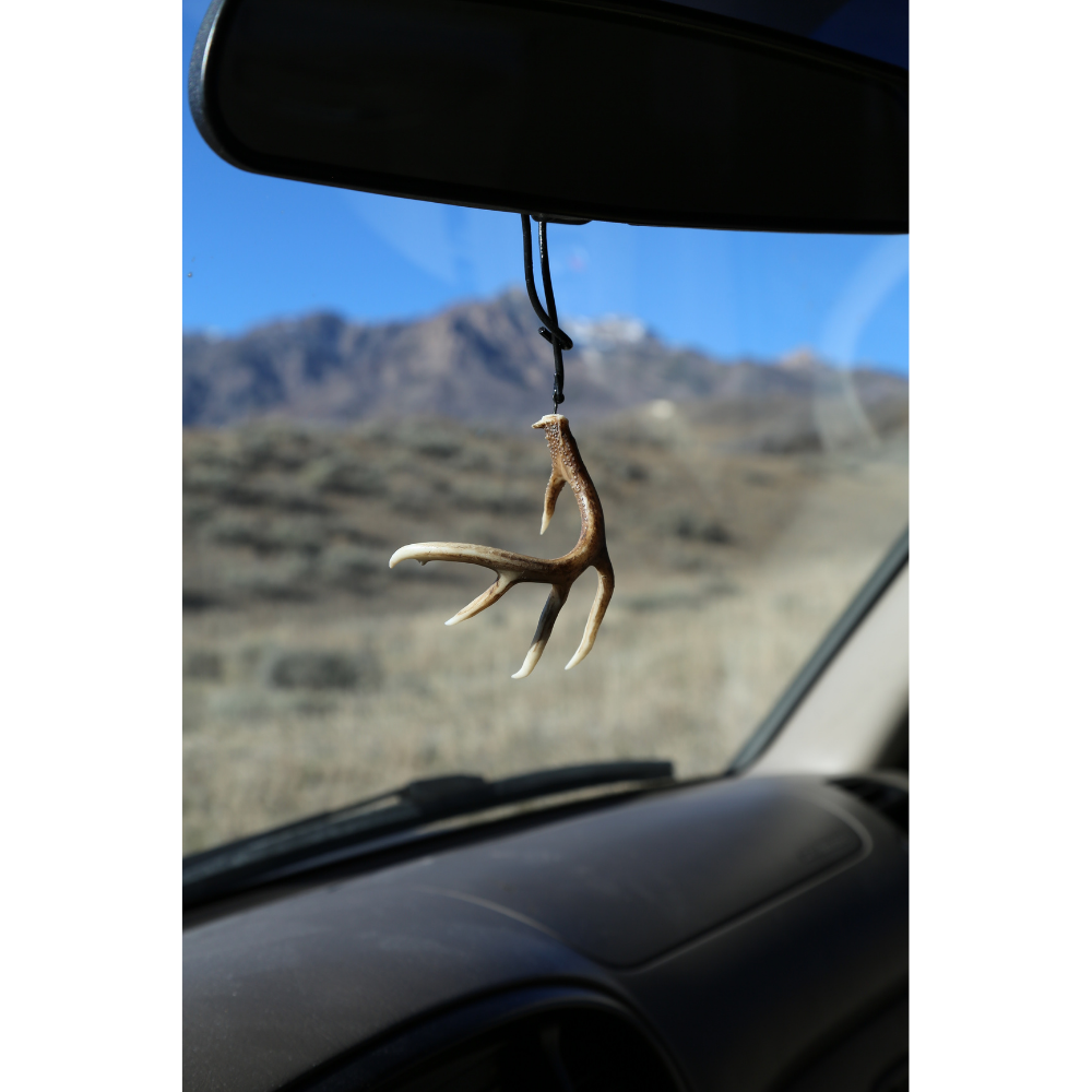 White Tail Typical Shed